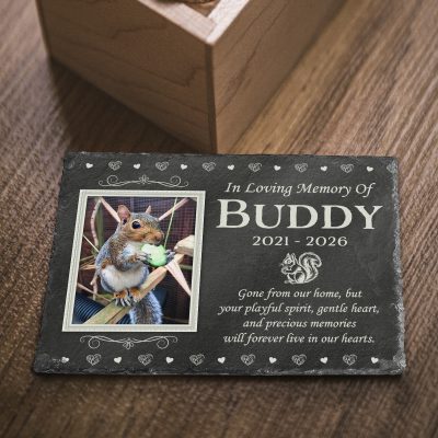 Personalized Squirrel Memorial Stone, Squirrel Remembrance Slate Gift, Squirrel Sympathy Gift, Squirrel Memorial Gift, Pet Loss Gift